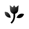 Captcha image 1918